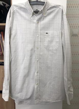 Сорочка lacoste оригінал 3