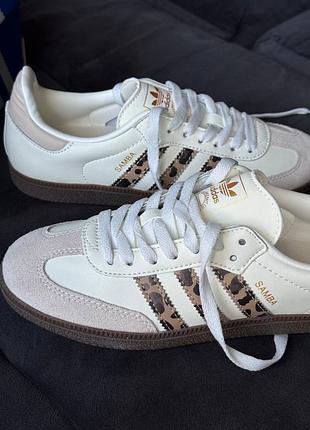 Samba leo 10