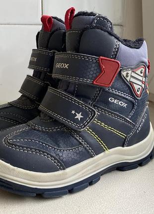 Черевики термо geox 24/25р. світяться 9