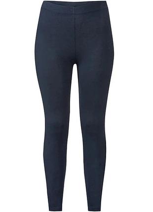 Лосини бавовняні esmara lycra l 44/46 euro темно-синій