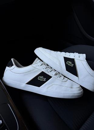 Кросівки чоловічі lacoste оригінал