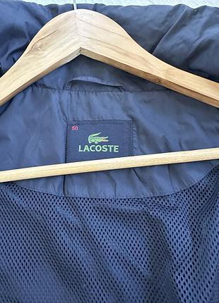 Красива вітровка lacoste 4