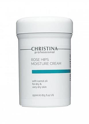 Увлажняющий крем с маслом шиповника и моркови для сухой кожи christina rose hips moisture cream with carrot oil 250 ml