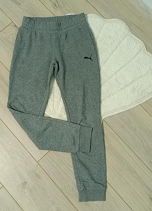Спортивні штани чоловічі puma сірі