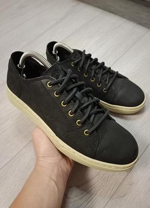Кросівки кеди timberland
