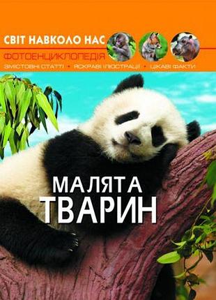 Книга: мир вокруг нас. детеныши животных, укр