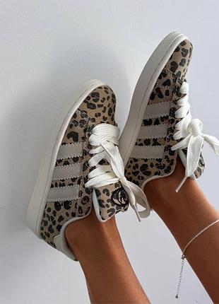 Кросівки жіночі adidas campus leopard premium