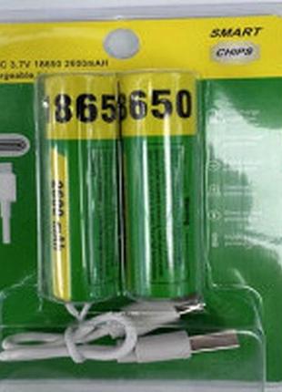 Акумуляторні батарейки з type-c роз'ємом lithium-ion 2600mah 18650 (2шт)