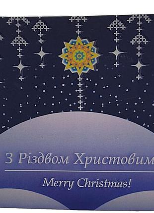 Монеты банкноты б/у жетон медаль нбу з різдвом 2024