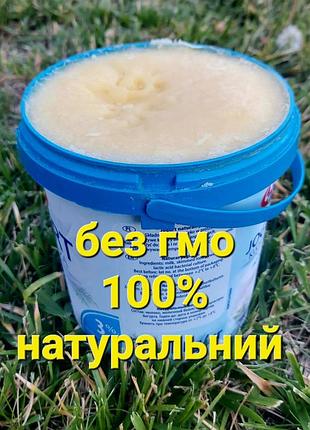 Яловичий/говяжий топлений жир