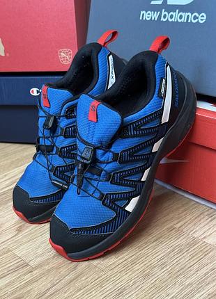 Кросівки чоловічі salomon xa pro v8 gore-tex сині, розмір 38, устілка 23,5 см