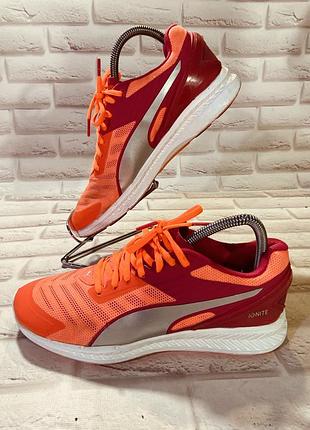 Кросівки puma