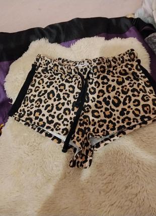 Тигровые шортики 70%котон