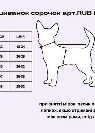 Рубашка dogs bomba квиты rub-39 3