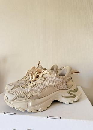 Кросівки steve madden 3