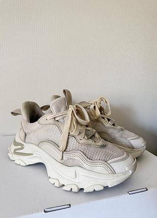 Кросівки steve madden 4