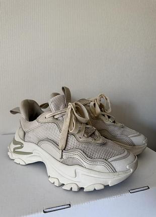 Кросівки steve madden 5