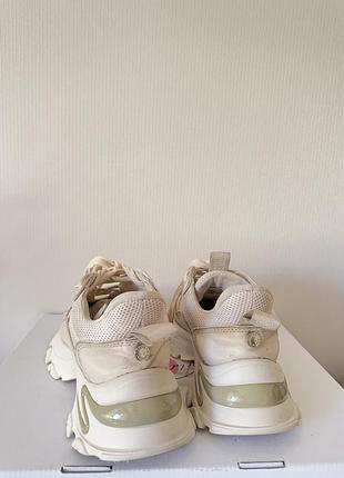 Кросівки steve madden 6
