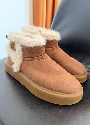 Черевики zara 38 розмір
