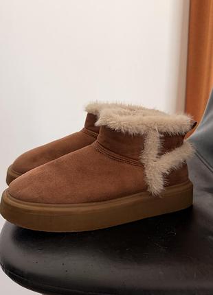 Черевики zara 38 розмір 2