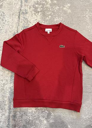Світшот, толстовка lacoste 7-8 років