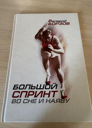 Великий спринт уві сні та на яву борзов в.