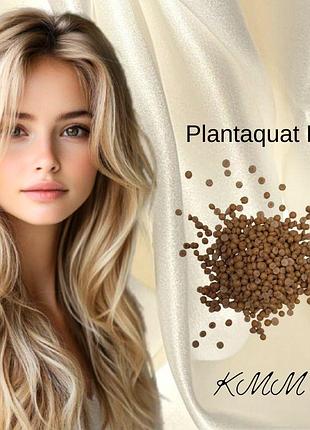 Емульгатор лецитиновий plantaquat nc- 25 г