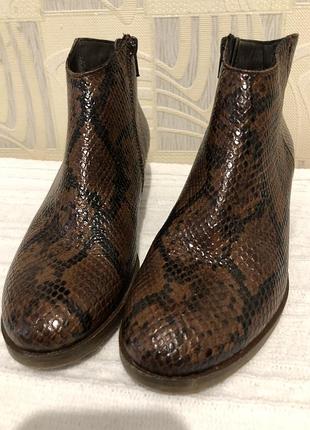 Шкіряні ботильйони clarks mila myth (оригінал, р. 38) / козаки зі зміїним принтом