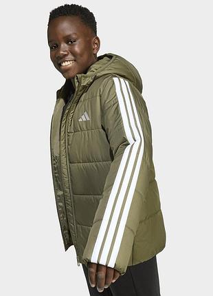 Оригінал підліткова adidas junior essentials 3 stripes padded jacket - olive strata/white (jl7405) оригинал адидас хакі осінь демісезон повсякденна 2