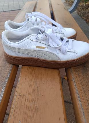 Кожаные кроссовки фирмы puma размер 38 стельки 24 верх и подошва в очень хорошем состоянии на задниках есть небольшие потертости остальное все целое