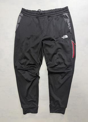 Штани спортивні на флісі the north face size l