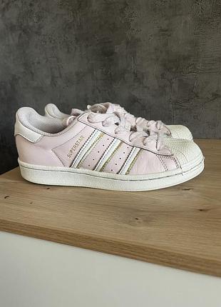 Кросівки жіночі adidas superstar рожеві 23 см устілка