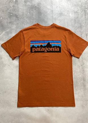 Чоловіча футболка patagonia з логотипом на спині