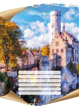 Тетрадь ученическая "замки" 036-195905k-1 в клетку, 36 листов