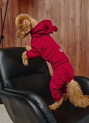 Костюм dogs bomba з кишенею марсала d-107