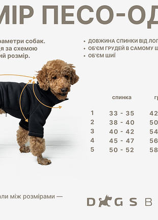 Дощовик для такс чорний mt-33 6