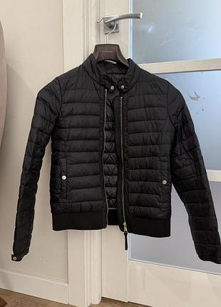 Жіночий пуховичок демі massimo dutti