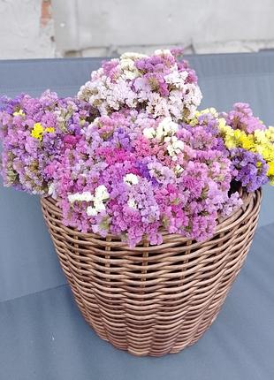 Букети із сухоцвітів кермеку (статиці) 10
