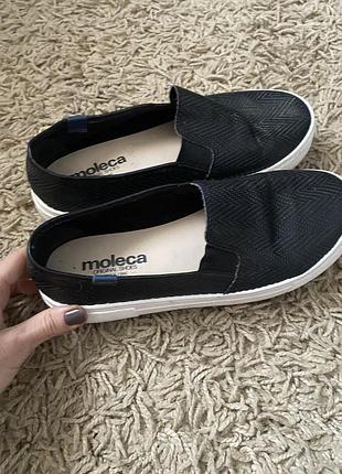 Сліпони moleca