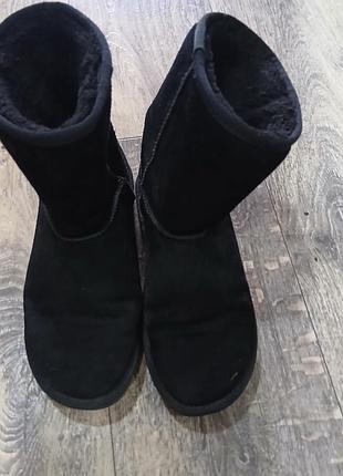 Чоботи жіночі ugg classic short чорні