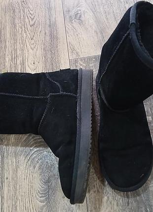 Чоботи жіночі ugg classic short чорні 2