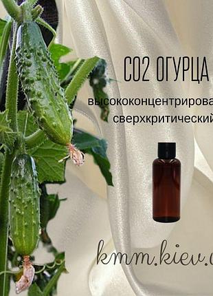 Со2-экстракт огурца высококонцентрированный сверхкритический (5г)