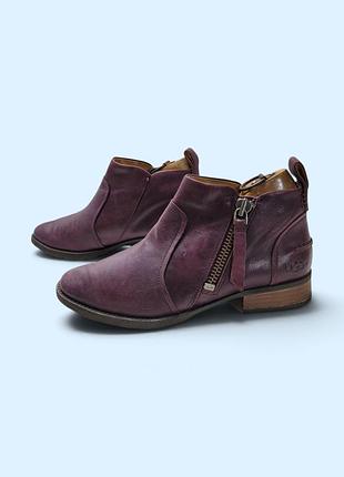Жіночі черевики ugg 38 р. шкіряні сливові ботильйони на блискавці