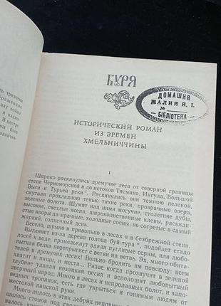 Богдан хмельницький буря старицький м. 4