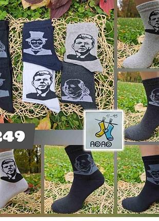 Носки мужские демисезонные 249 41-45 р.