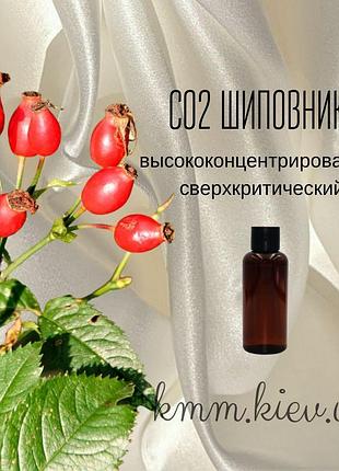 Со2-экстракт шиповник высококонцентрированный сверхкритический (5г)