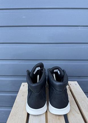 Кросівки timberland bradstreet 5