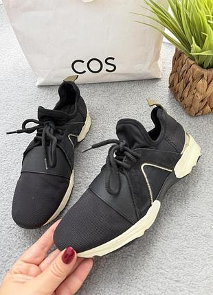 Жіночі стильні кросівки carvela оригінал