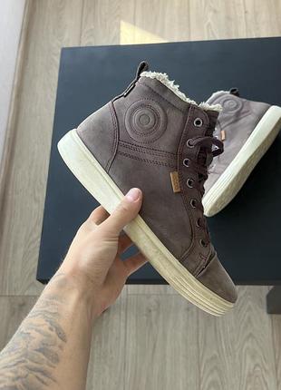 Кросівки ecco