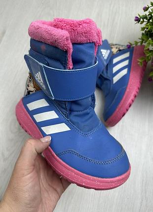 Сапоги adidas 8